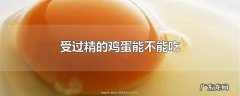 受过精的鸡蛋能不能吃