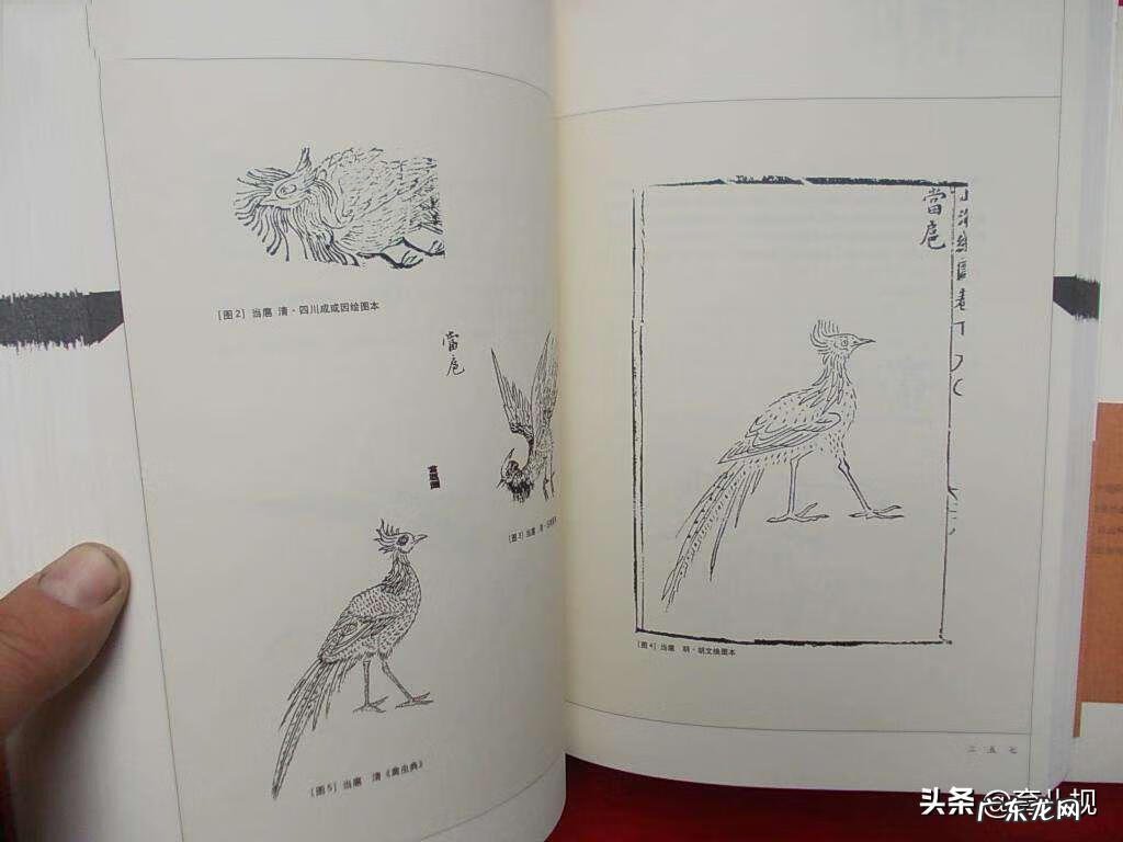 风水书法 易经风水书法作品插画教程图