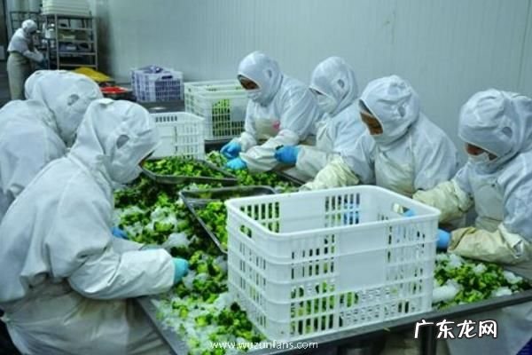 农村加工项目,从农村实际情况出发选择合适的项目