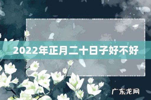 2022年正月二十日子好不好