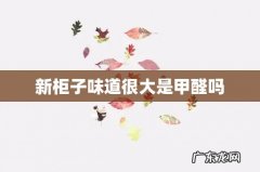 新柜子味道很大是甲醛吗