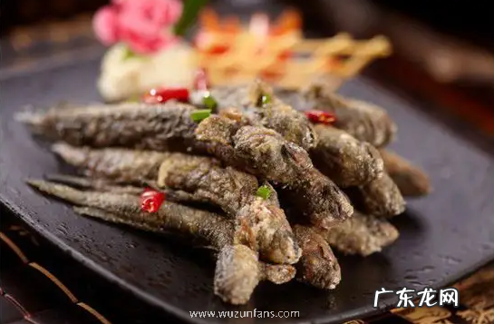 跳跳鱼的功效与作用