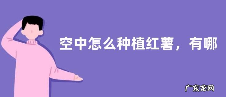 空中怎么种植红薯，有哪些技术要点