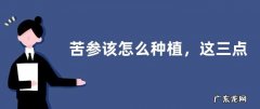 苦参该怎么种植，这三点是关键