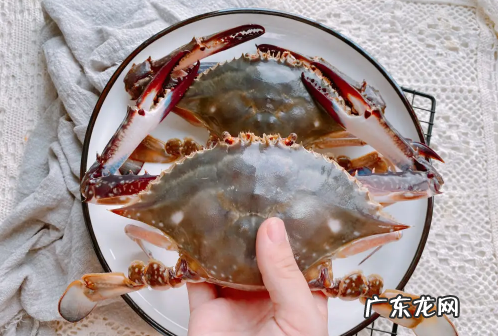 梭子蟹买回来没多久就死了可以吃吗