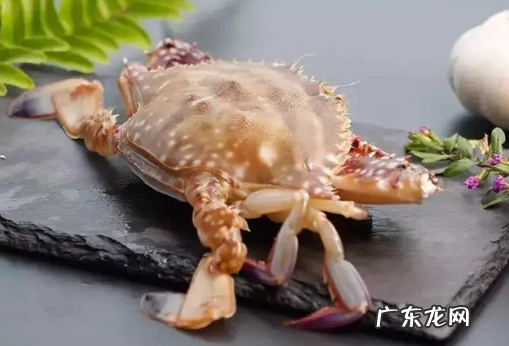 梭子蟹买回来没多久就死了可以吃吗