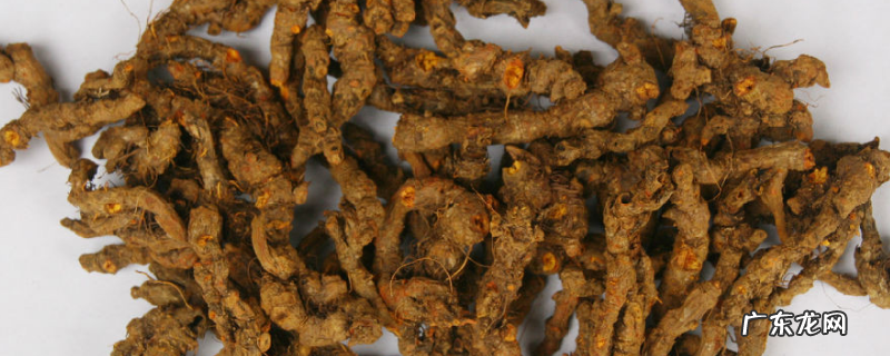 黄连的种植技术要点，注意防治病虫害