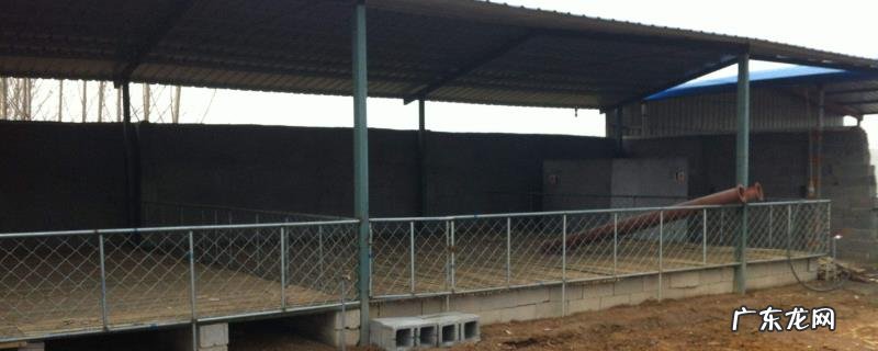 4个养殖致富项目,收益高成本低