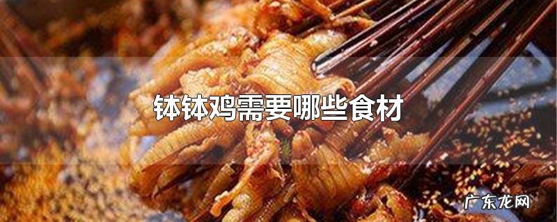 钵钵鸡需要哪些食材