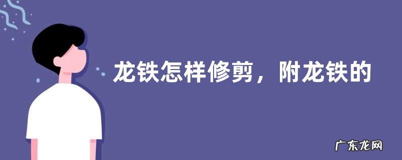 龙铁怎样修剪,附龙铁的养殖方法