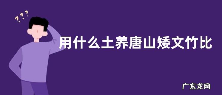 用什么土养唐山矮文竹比较好,附其栽培技术