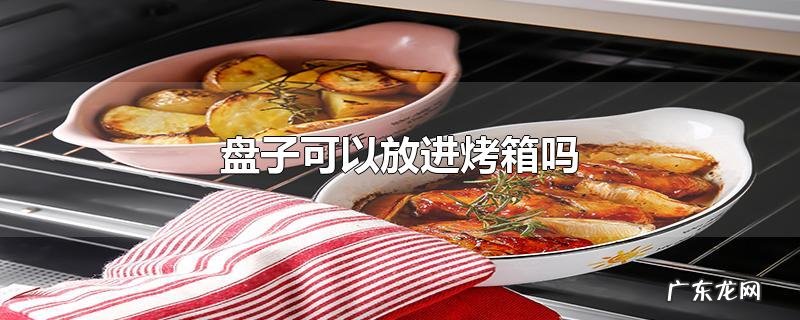 盘子可以放进烤箱吗