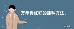 万年青红籽的播种方法，附播种时间