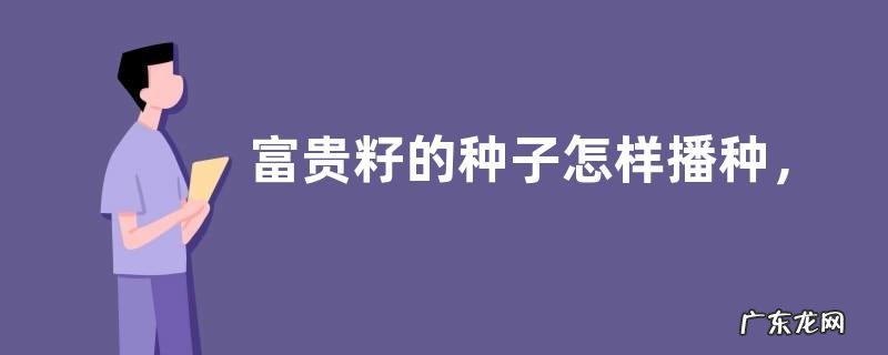 富贵籽的种子怎样播种,附富贵籽的生长习性