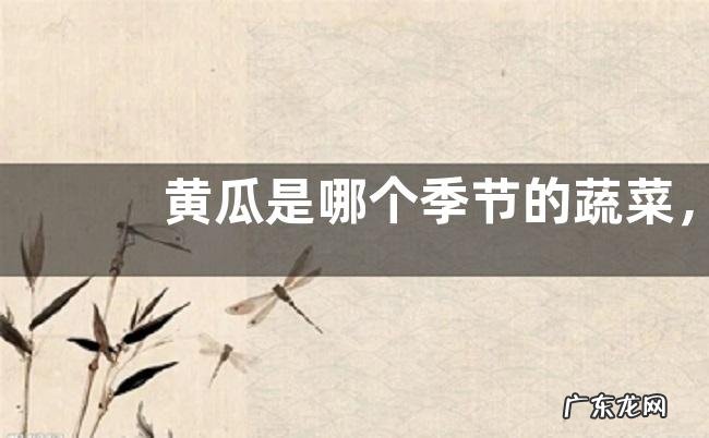 黄瓜是哪个季节的蔬菜,发生药害有什么解决办法