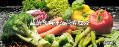 蔬菜含有什么营养成分
