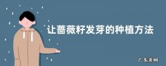 让蔷薇籽发芽的种植方法，蔷薇该怎么养