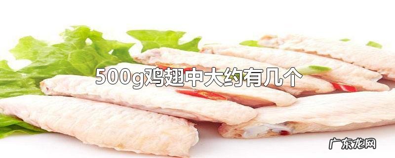 500g鸡翅中大约有几个