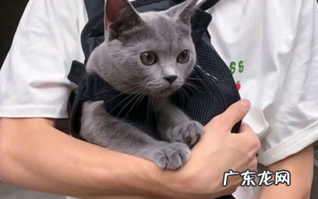 渣男一般喜欢用什么头像