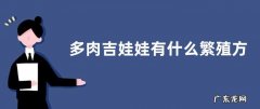 多肉吉娃娃有什么繁殖方法，养护方法有哪些