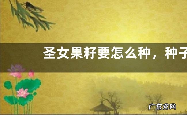 圣女果籽要怎么种，种子通常发芽多久