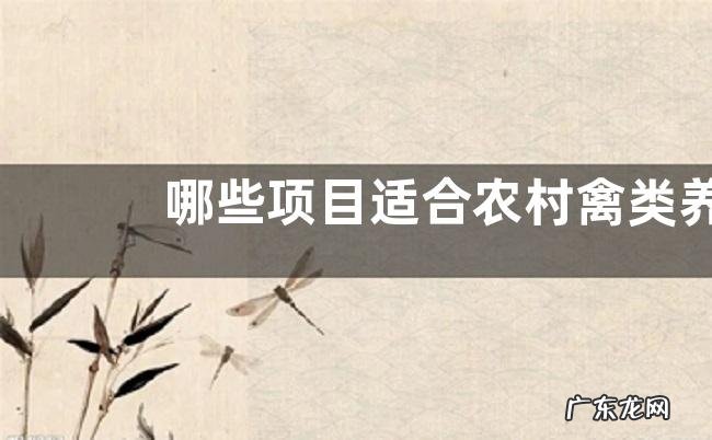 哪些项目适合农村禽类养殖创业,有哪些需要掌握的关键技术