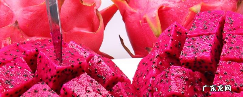 怎样种火龙果籽可结果,种火龙果要什么条件
