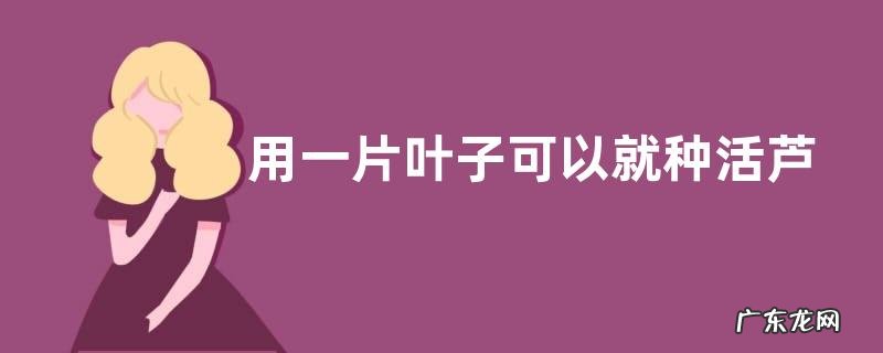 用一片叶子可以就种活芦荟吗,有什么栽培方法