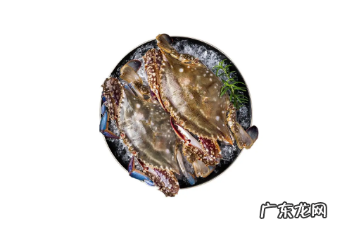 一只梭子蟹大概多重