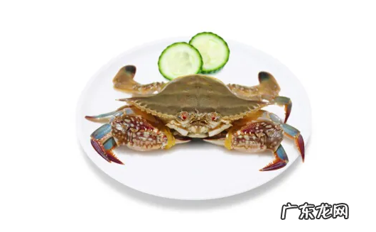 一只梭子蟹大概多重