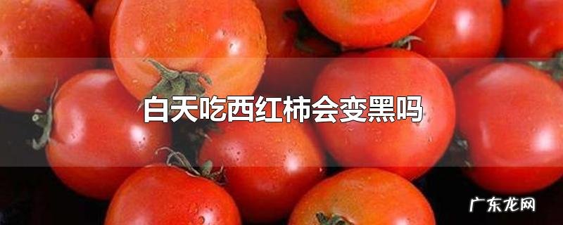 白天吃西红柿会变黑吗