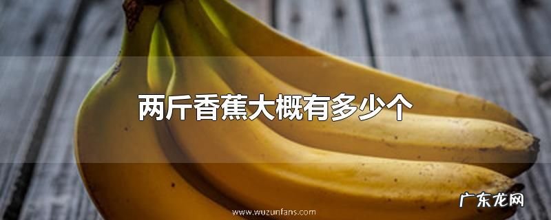 两斤香蕉大概有多少个