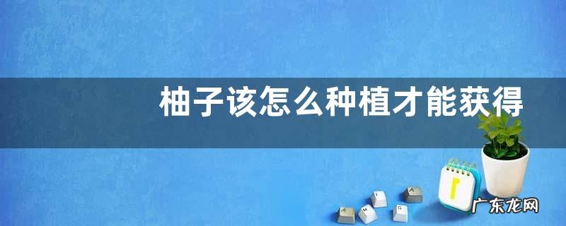 柚子该怎么种植才能获得高产，有什么技术要点吗