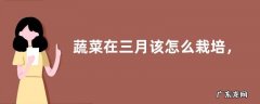 蔬菜在三月该怎么栽培，有什么技术要点吗