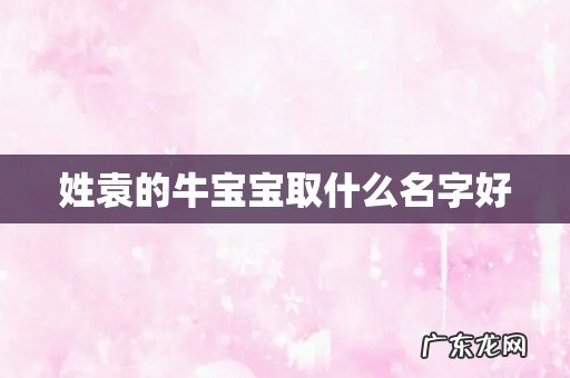 姓袁的牛宝宝取什么名字好