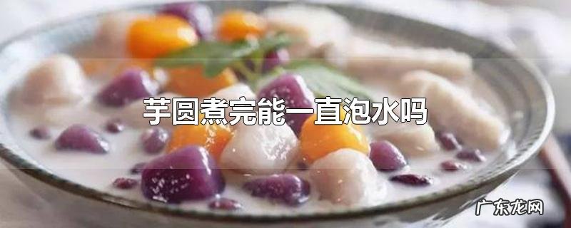 芋圆煮完能一直泡水吗