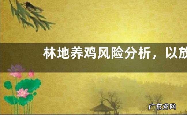 林地养鸡风险分析,以放牧散养为主