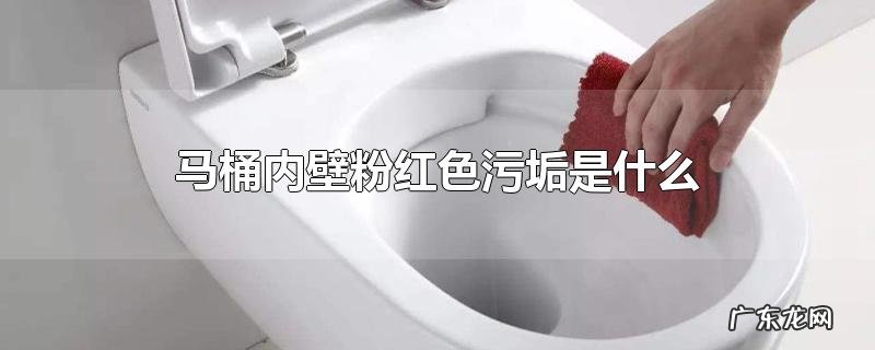 马桶内壁粉红色污垢是什么