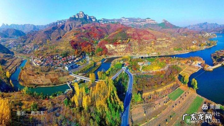 花椒树风水学是凶树吗 花椒树的风水