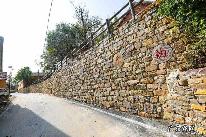 花椒树风水学是凶树吗 花椒树的风水