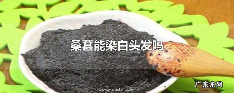 桑葚能染白头发吗