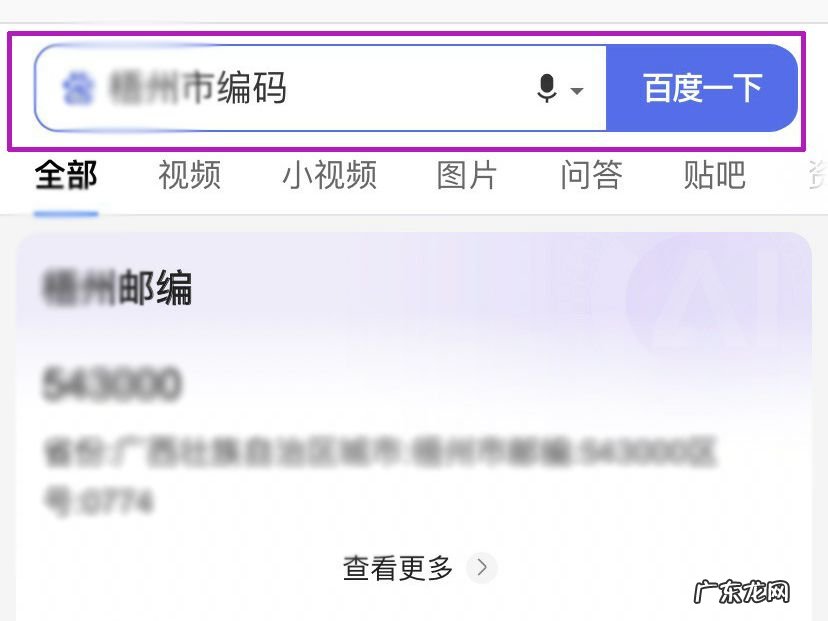 中国postcode怎么填