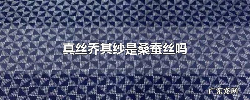 真丝乔其纱是桑蚕丝吗