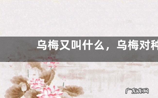 乌梅又叫什么，乌梅对种植环境有什么要求，附其种植方法