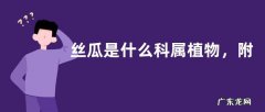 丝瓜是什么科属植物，附其种植方法