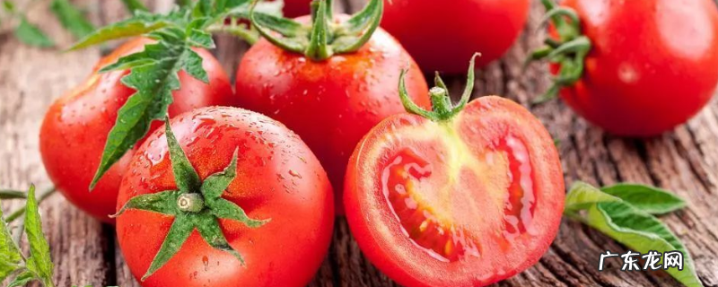西红柿高产栽培管理技术有哪些，附其注意事项