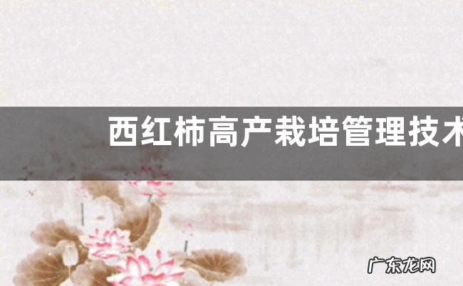 西红柿高产栽培管理技术有哪些，附其注意事项