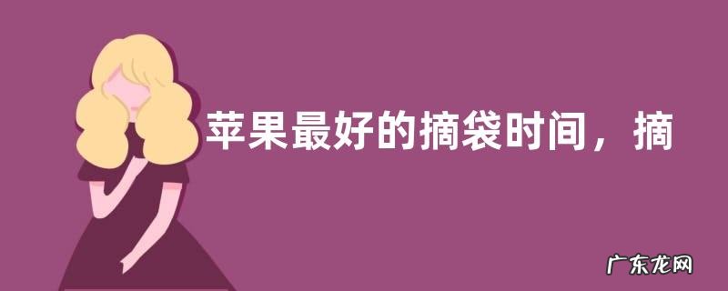 苹果最好的摘袋时间,摘袋后有哪些需要注意的地方