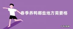 春季养鸭哪些地方需要格外注意，养鸭的成本怎样