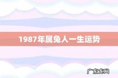 1987年属兔人一生运势